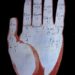 Diagram of Hand Signals