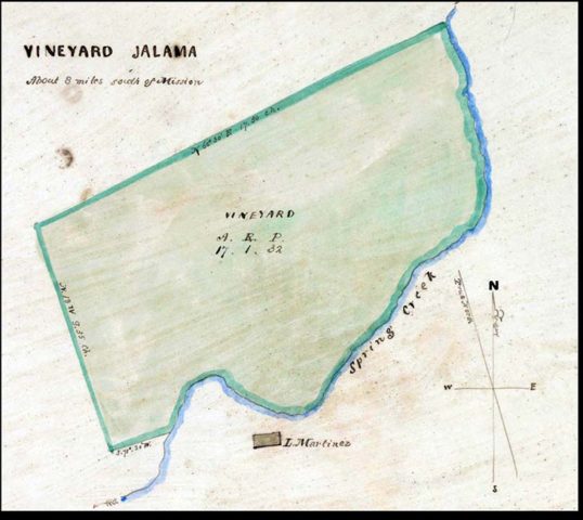 Layout and Measurement of the Jalama Vineyard