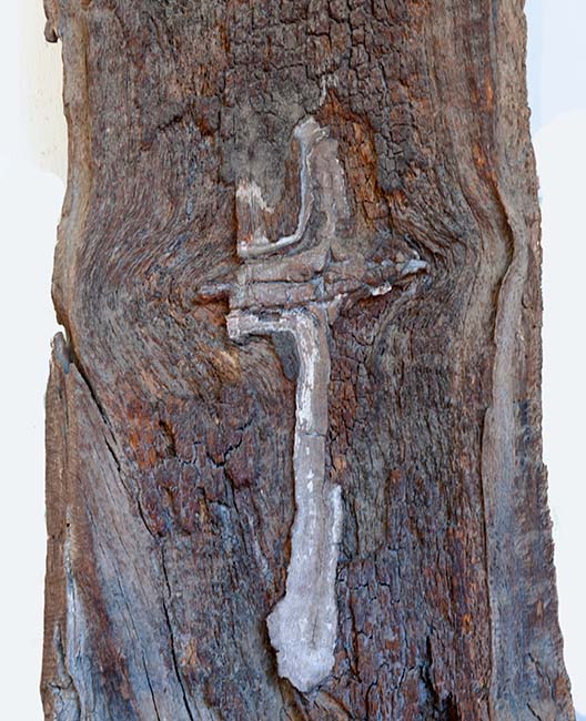 San Miguel Cross-In-Tree Display